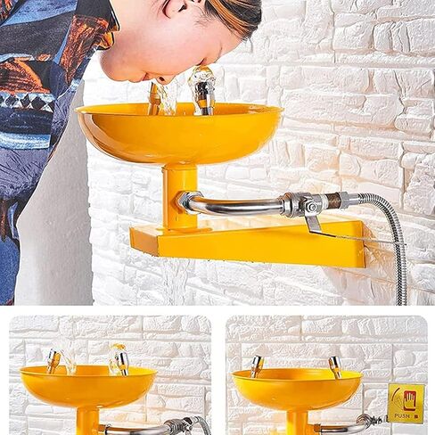 Wall Mounted Emergency Eyewash Station Eyewasher with Protective Cover, Easy to Install Double Mouth Eye Washer Used in Factories, Laboratories, Etc in Kuwait