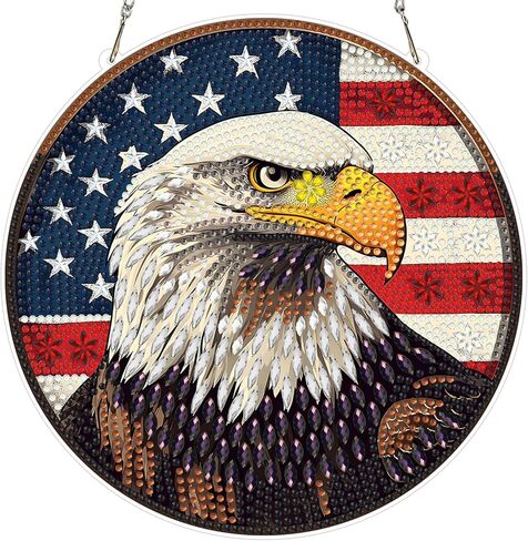 مجموعات الطلاء MXJSUA Diamond للبالغين ، ومجموعات فن الماس للبالغين ، ومجموعات الفن الأحجار الكريمة للبالغين للهدية ديكور جدار المنزل 12x16inch ، الجنية in Kuwait