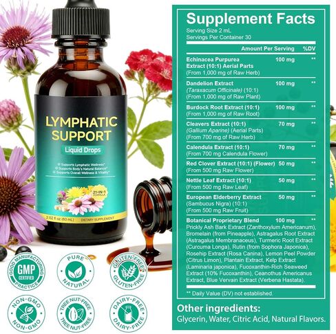 Lymphatic Drainage Drops, Support Supplement with Echinacea, Dandelion, Elderberry, Cleavers, Astragalus, Burdock & More, 2 FL OZ - Natural Lymphatic Cleanse & Immune Support in Kuwait