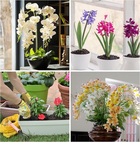 200 Pcs 10 Inch Clear Acrylic Rods, 1/8 Inch Diameter Acrylic Lollipop Sticks for Plant Stakes, Clear Plastic Rod for Candy Cake DIY Crafts in Kuwait