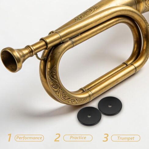 Mikinona 12pcs Suona Parts Resin Cores, Black 3cm Air Regulator Pad, Traditional Chinese Wind Instrument Supplies for Musicians & Students in Saudi Arabia