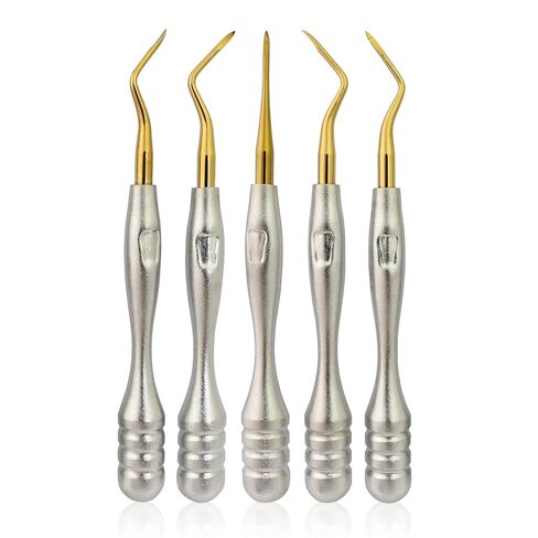 5 PCS New HEIDBRINK Root Elevator Picker Elevator Straight/Right/Left/Angled in/Out Sharp Tips Gold Titanium Instruments Round Slim Pattern Silver Handle Dental Instruments DN-2571 in Saudi Arabia
