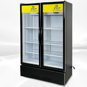 Commercial Refrigerator Glass 2-Door Merchandiser Display Cooler, Beverage Drink Cooler 67"Height Beverage Drink Fridge ETL,NSF certified, 38 inches width, 21 cuft 110V, Restaurant LC-600A in Kuwait