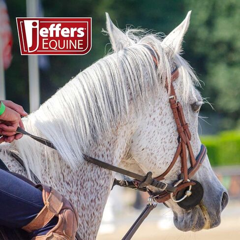 Jeffers Equine Black Rubber Bit Guards, Soft Durable Rubber Disks to Prevent Friction & Snaffle Pulling, Comfortable Fit for Training, Riding & Horse Gear, Protects Mouth, Gentle Accessories, Pair in Saudi Arabia