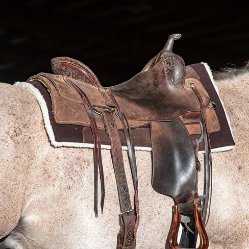 Classic Equine Performance Trainer Saddle Pad, Felt Top, Coffee in Saudi Arabia