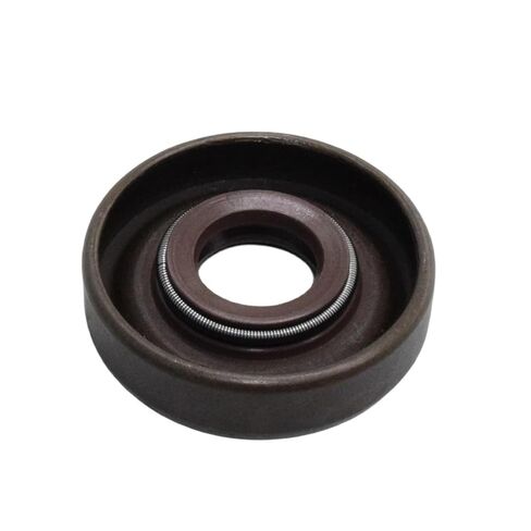 5pcs/lot Oil Seal 10X25.4X6 in Saudi Arabia