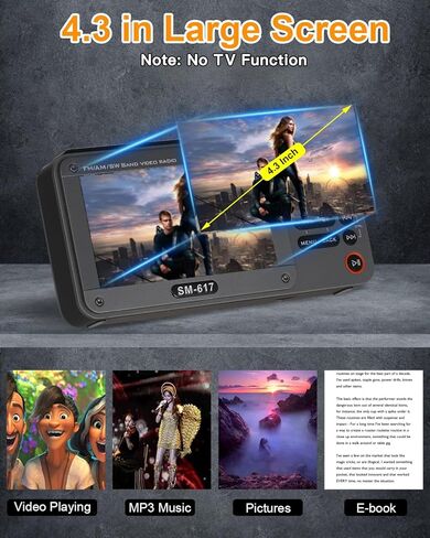 مكبر صوت بلوتوث رقمي محمول FM ، مكبر صوت لاسلكي راديو قابل لإعادة الشحن باليد in Kuwait