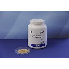 296029204 Gypsy Moth Diet, 4 L in Kuwait