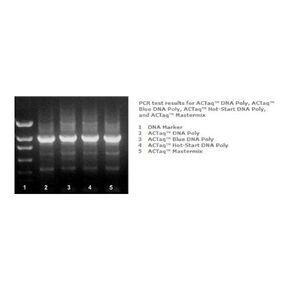 E2000-250U Actaq High Fidelity DNA Polymerase, 250Units/Vial in Kuwait