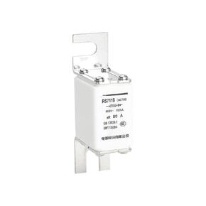 Fuse; RS711B (NGT00) 32A in Kuwait