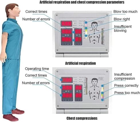 نموذج تدريب على الإسعافات الأولية لكامل الجسم للكبار، نموذج تدريب محاكاة CPR، محاكي الإنعاش القلبي الرئوي للفصول الدراسية أو مركز الأبحاث in Saudi Arabia