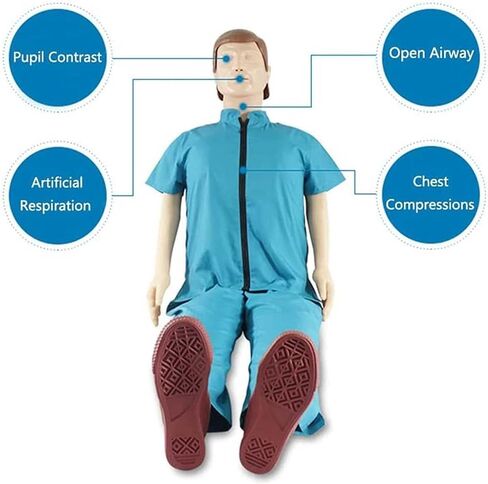 نموذج تدريب على الإسعافات الأولية لكامل الجسم للكبار، نموذج تدريب محاكاة CPR، محاكي الإنعاش القلبي الرئوي للفصول الدراسية أو مركز الأبحاث in Saudi Arabia