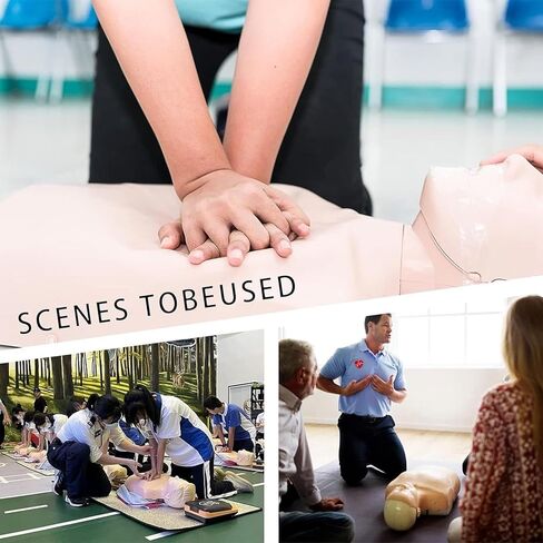 نموذج تدريب على الإسعافات الأولية لكامل الجسم للكبار، نموذج تدريب محاكاة CPR، محاكي الإنعاش القلبي الرئوي للفصول الدراسية أو مركز الأبحاث in Saudi Arabia
