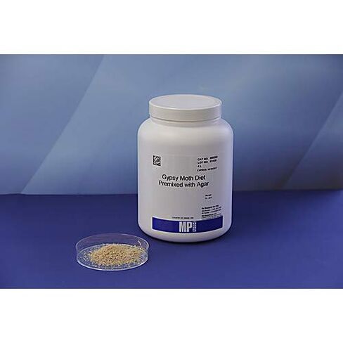 296029204 Gypsy Moth Diet, 4 L in Kuwait