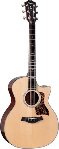 Taylor Next Generation 414ce Grand Auditorium Acoustic/Electric Guitar with Hardshell Case in Saudi Arabia