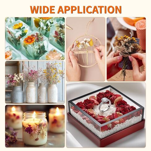 مجموعة تجفيف الزهور من جل السيليكا بوزن 5 رطل من أبوفكس، لون قابل لإعادة الاستخدام يشير إلى بلورات جل السيليكا لتجفيف الزهور مع حاوية محكمة الإغلاق وفرشاة ومكشطة ثلج وقفازات، مجموعة حفظ الزهور DIY للحرف الفنية in Kuwait