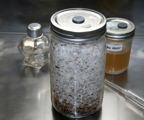 0.2 Micron Synthetic Filter Papers/fit for Wide Mouth jar lids/Used for Mushroom Cultivation/Pack of 12 in Kuwait