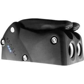 Spinlock XAS