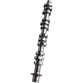 Left Camshaft 5L1Z-6250-AA Replacement for Ford Lincoln Mercury 4.6l 5.4l 3v SOHC 2005-2010