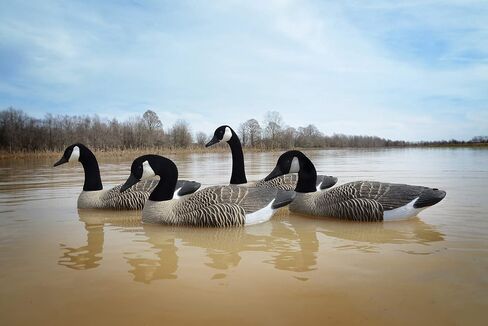 Higdon Outdoors Full-Size Goose Floater, Canada in Saudi Arabia