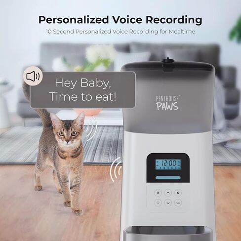 Automatic Cat Food Feeder, 6L Twist-Lock Cat Feeder, 6 Schedule Meals Daily, Anti Jam Cat Feeder, LCD with 10s Meal Call Cat Feeder, Backup Battery Pet Feeder, Pet Feeder Dry Food, Dog Food Feeder in Saudi Arabia