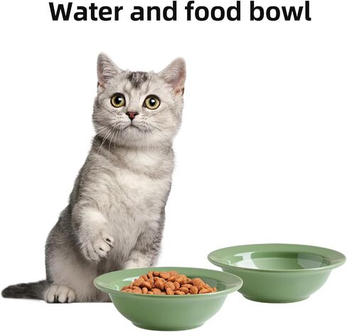 Ceramic Raised Cat Bowl, Elevated Cat Food and Water Bowl,Kitty Bowl,Cat Dish, Pet Feeder, Protect Cervical Spine,Pet Supplies (5.5inch, Bowl x 4 - Green) in Saudi Arabia