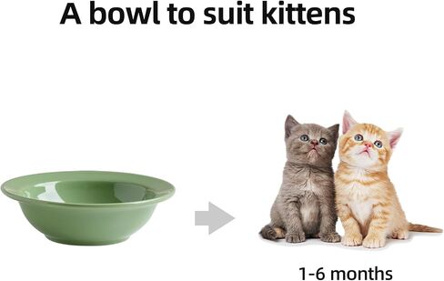 Ceramic Raised Cat Bowl, Elevated Cat Food and Water Bowl,Kitty Bowl,Cat Dish, Pet Feeder, Protect Cervical Spine,Pet Supplies (5.5inch, Bowl x 4 - Green) in Saudi Arabia