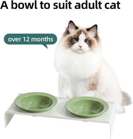 Ceramic Raised Cat Bowl, Elevated Cat Food and Water Bowl,Kitty Bowl,Cat Dish, Pet Feeder, Protect Cervical Spine,Pet Supplies (5.5inch, Bowl x 4 - Green) in Saudi Arabia