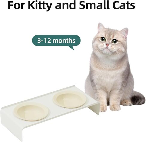 وعاء القطط المرتفع من السيراميك، وعاء طعام ومياه مرتفع للقطط، وعاء كيتي، طبق القطط، جهاز تغذية الحيوانات الأليفة، حماية العمود الفقري العنقي، مستلزمات الحيوانات الأليفة (5.5 بوصة، وعاء × 4 - أخضر) in Kuwait