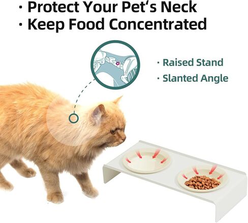 وعاء القطط المرتفع من السيراميك، وعاء طعام ومياه مرتفع للقطط، وعاء كيتي، طبق القطط، جهاز تغذية الحيوانات الأليفة، حماية العمود الفقري العنقي، مستلزمات الحيوانات الأليفة (5.5 بوصة، وعاء × 4 - أخضر) in Kuwait