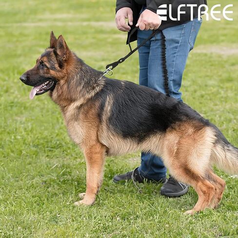 Tactical Dog Leash, Heavy Duty Dog Leash Bungee for Medium and Large Dogs, No Pull Dog Leash for Shock Absorption, 4FT Military Dog Leash with 2 Control Handles Training Leash in Saudi Arabia