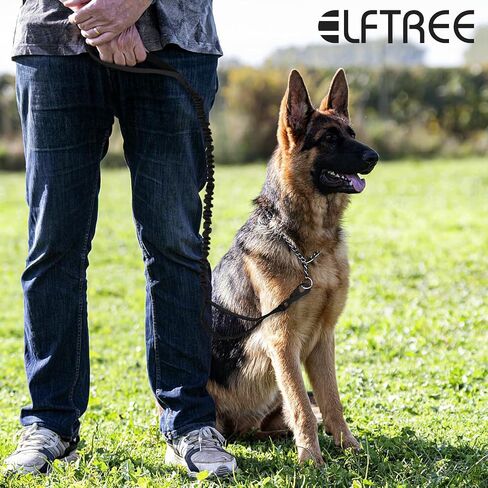 Tactical Dog Leash, Heavy Duty Dog Leash Bungee for Medium and Large Dogs, No Pull Dog Leash for Shock Absorption, 4FT Military Dog Leash with 2 Control Handles Training Leash in Saudi Arabia