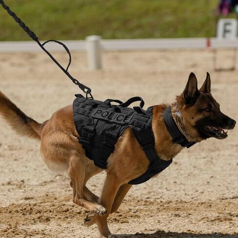Tactical Dog Leash, Heavy Duty Dog Leash Bungee for Medium and Large Dogs, No Pull Dog Leash for Shock Absorption, 4FT Military Dog Leash with 2 Control Handles Training Leash in Saudi Arabia