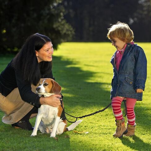 Tactical Dog Leash, Heavy Duty Dog Leash Bungee for Medium and Large Dogs, No Pull Dog Leash for Shock Absorption, 4FT Military Dog Leash with 2 Control Handles Training Leash in Saudi Arabia