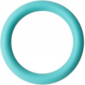Exercise Weight Ring for Full Body Workout, 10 lb Resistance Training Ring Non-Slip Silicone Surface, 12 Inch Diameter, Teal Blue in Saudi Arabia