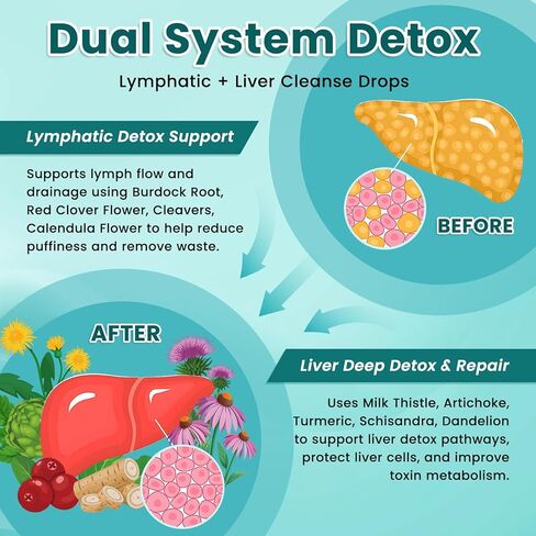 Liposomal Lymphatic Drainage Drops, Liver Cleanse Detox & Repair Liquid Supplement with Milk Thistle, Dandelion, Burdock Root & Echinacea - Lymph & Liver Detox, Antioxidant, Natural Flavor 2 Fl Oz in Saudi Arabia