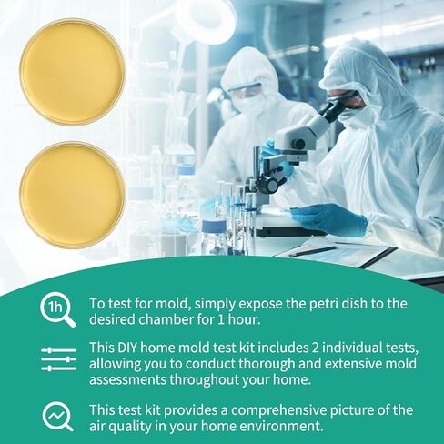 Comprehensive DIY Mold Test Kits for Home - Multiple Detection Tests for Surfaces, HVAC Systems, & Indoor Air Quality - Includes Detailed Mold - Fast, Reliable, & Safe for Both Indoor & Outdoor Use in Kuwait
