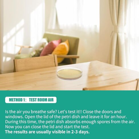 Comprehensive DIY Mold Test Kits for Home - Multiple Detection Tests for Surfaces, HVAC Systems, & Indoor Air Quality - Includes Detailed Mold - Fast, Reliable, & Safe for Both Indoor & Outdoor Use in Kuwait