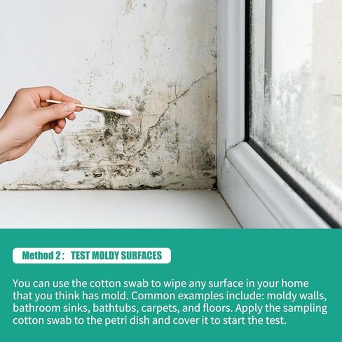 Comprehensive DIY Mold Test Kits for Home - Multiple Detection Tests for Surfaces, HVAC Systems, & Indoor Air Quality - Includes Detailed Mold - Fast, Reliable, & Safe for Both Indoor & Outdoor Use in Kuwait