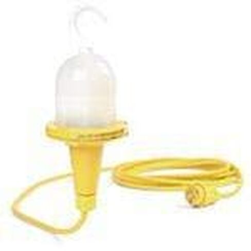 Woodhead/Molex, 1301030066, A21 Incandescent Lamp (1 Item/s) in Saudi Arabia
