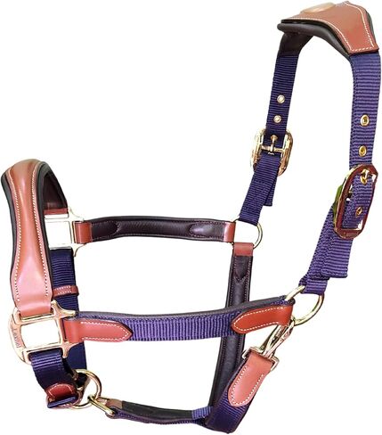 Leather Halter for Horses – Primium Leather Padded Nylon Halter, Adjustable Fit Leather Horse Halter with Brass Hardware for Ultimate Comfort & Style in Kuwait