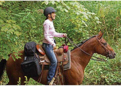 Dura-Tech Cantle Bag with Insulated Detachable Saddle Bags | Keeps Supplies Within Reach | Insulated Side Coolers | Durable Construction | Comfortable for Horse in Saudi Arabia
