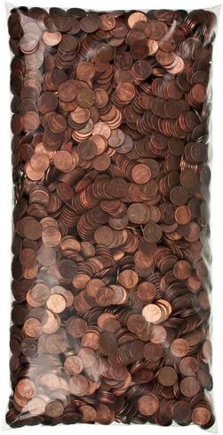 BankSupplies Poly Coin Bags | 13W x 22H | Tamper Evident Seal | Single Handled | Holds up to 50 lbs. of Coin | Sequential Numbering & Tear Off Receipt in Kuwait