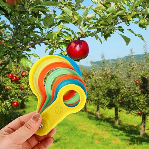 OUNONA Fruit Sorting Kit 2 Sets Fruit Measuring Circle Pear Size Measuring Ring Precision Tool in Saudi Arabia