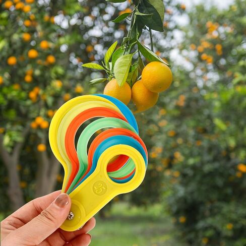 OUNONA Fruit Sorting Kit 2 Sets Fruit Measuring Circle Pear Size Measuring Ring Precision Tool in Saudi Arabia