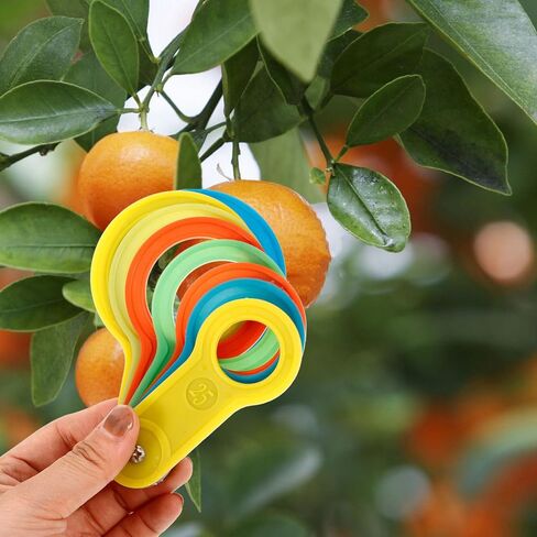 OUNONA Fruit Sorting Kit 2 Sets Fruit Measuring Circle Pear Size Measuring Ring Precision Tool in Saudi Arabia