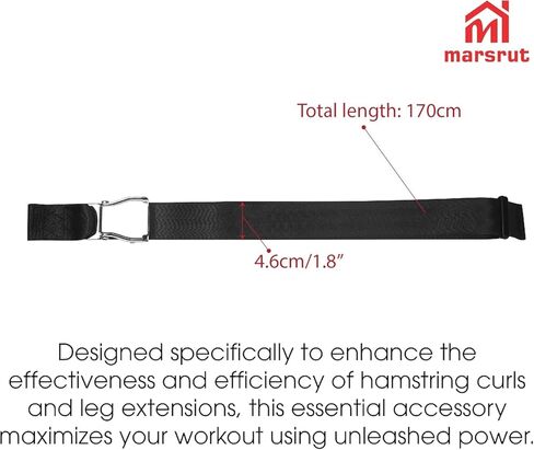 Gym Seatbelt, Leg Extension Lifting Seatbelt, Nordic Hamstring Curl Strap on Bench, 5.6ft L, Buckle Squat Collar for Workouts Machine, Home Gym Stretch & Mobilization Exercise for Men Women in Saudi Arabia