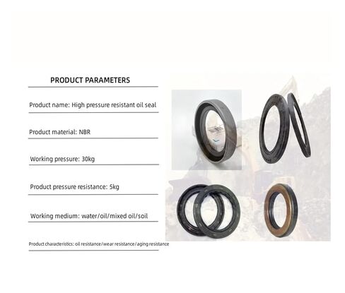 185 * 205 10mm/185X205X10mm Skeleton Shaft Oil Seal Hydraulic Pump Gasket Sealing Ring in Saudi Arabia