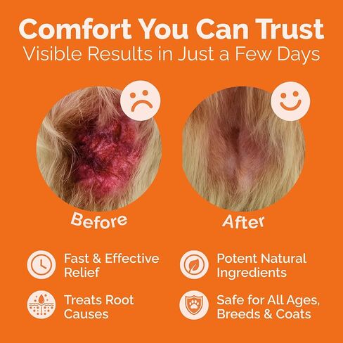 Hot Spot & Itch Relief Skin Cream for Dogs & Cats | Fast & Lasting Relief | Treats the Source | Natural Ingredients & Colloidal Silver | Vet-Recommended | Safe & Non-Toxic | Made in USA (2oz) in Kuwait