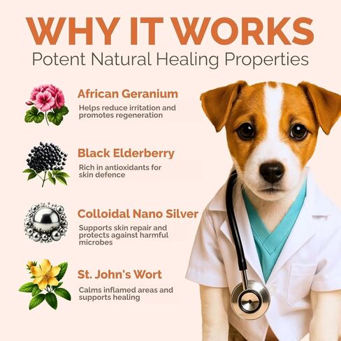 Hot Spot & Itch Relief Skin Cream for Dogs & Cats | Fast & Lasting Relief | Treats the Source | Natural Ingredients & Colloidal Silver | Vet-Recommended | Safe & Non-Toxic | Made in USA (2oz) in Kuwait